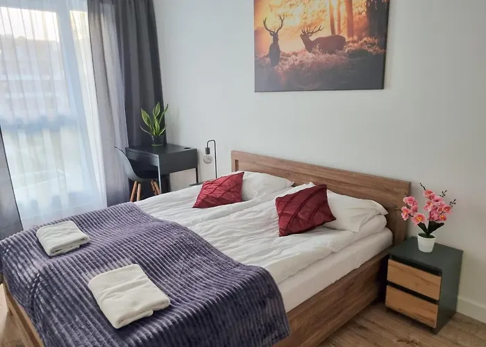 With 2 Bedrooms & Parking By Renters Appartement *